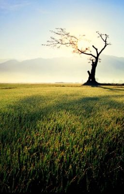 Đọc truyện Edit - Nhất lộ - Trầm Giang Nhất truyện chữ full Edit - Nhất lộ - Trầm Giang Nhất